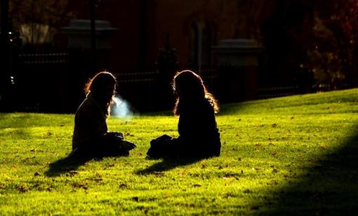 Smoking Picnic